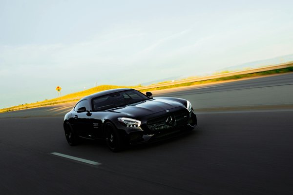 How Can You Improve Your Home to Better Accommodate Your Pets in the UK?